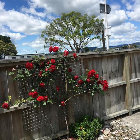 Strand Motel Tauranga Luaran gambar